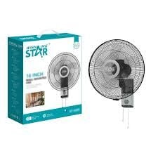 Winning Star Fan