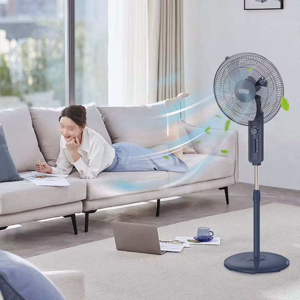 Winning Star Ayaklı Fan