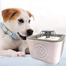 Otomatik Filtreli Kedi Köpek Su Şelalesi