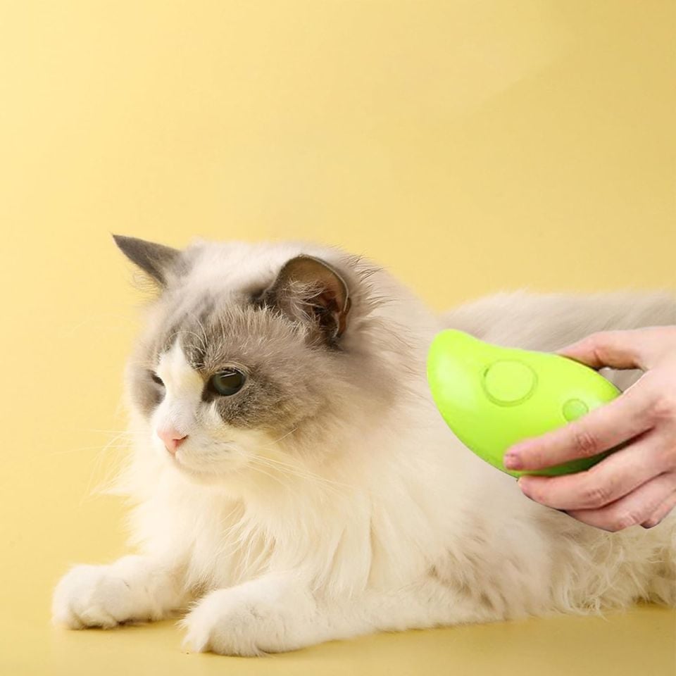 Şarjlı Buharlı Kedi Köpek Tarağı