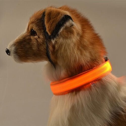 LED Köpek Tasması