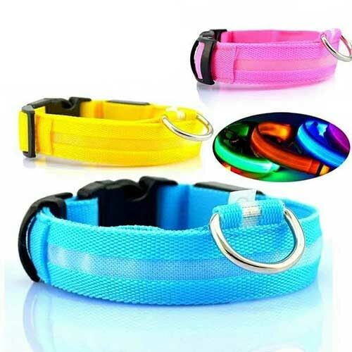 LED Köpek Tasması