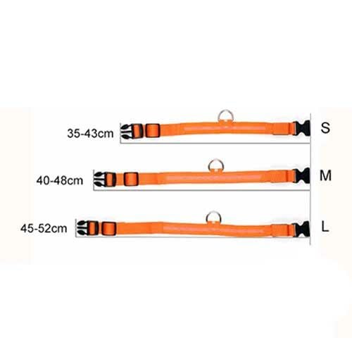 LED Köpek Tasması