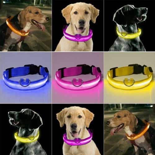 USB Şarjlı Neon Led Işıklı Kedi Köpek Tasması