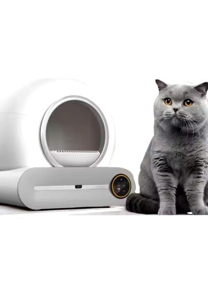 Otomatik Kedi Tuvaleti