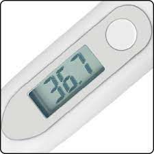 Temaslı Termometre PC FT 3057