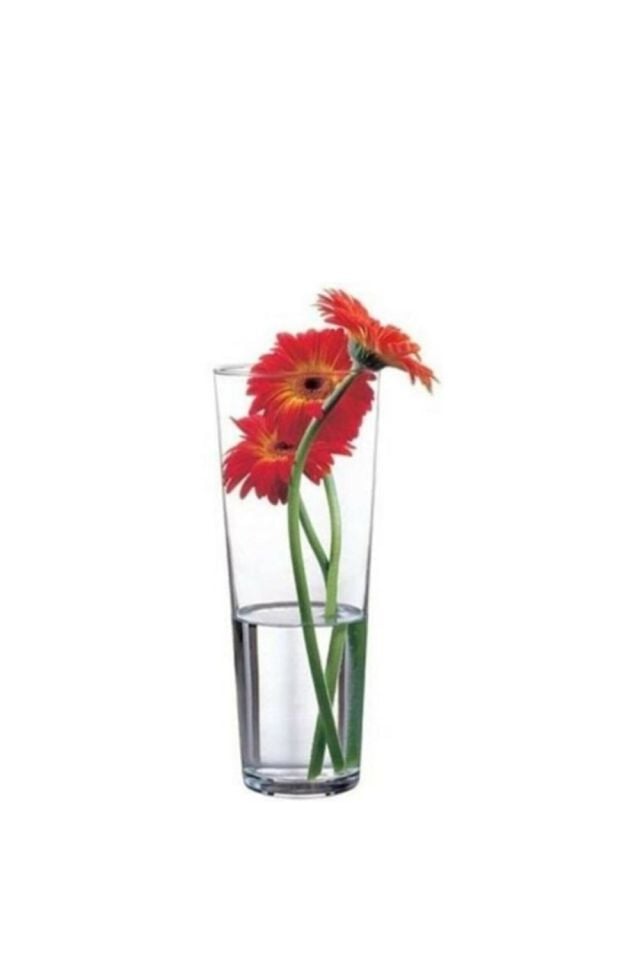 Paşabahçe Flora Vazo