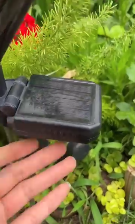 bahçe led ışık