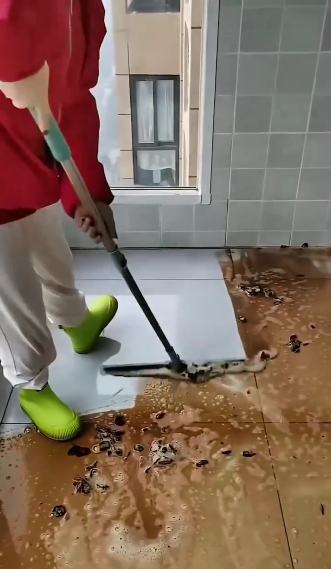 çekpas