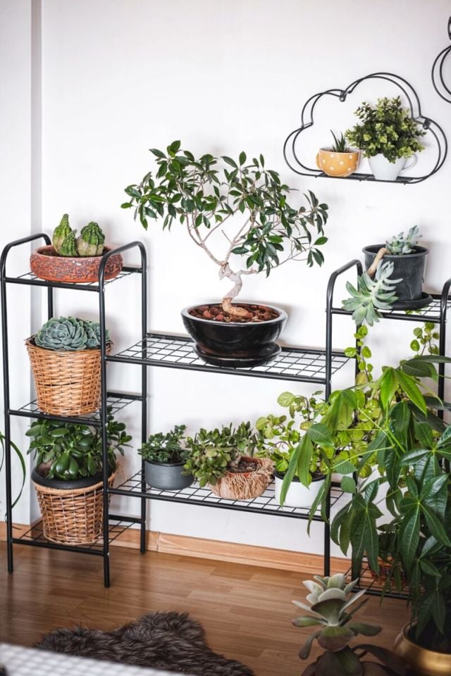 Garden 8 Raflı Metal Saksılık