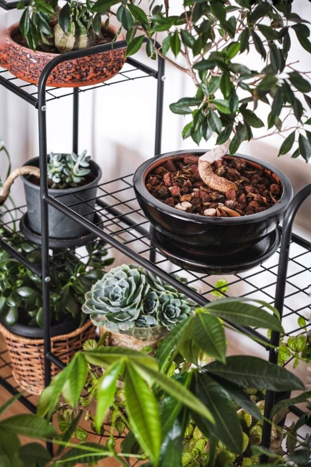 Garden 8 Raflı Metal Saksılık