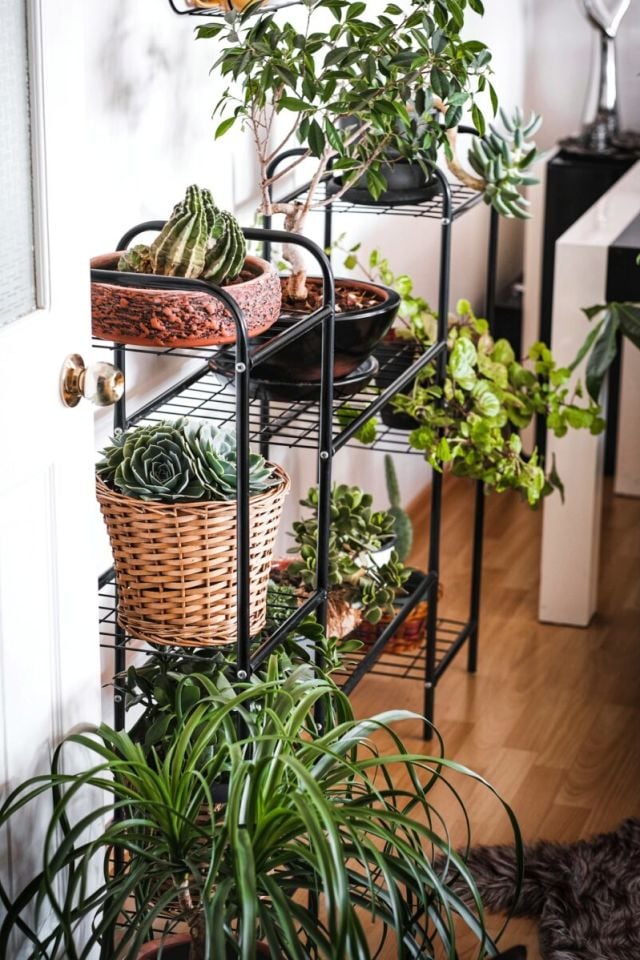 Garden 8 Raflı Metal Saksılık