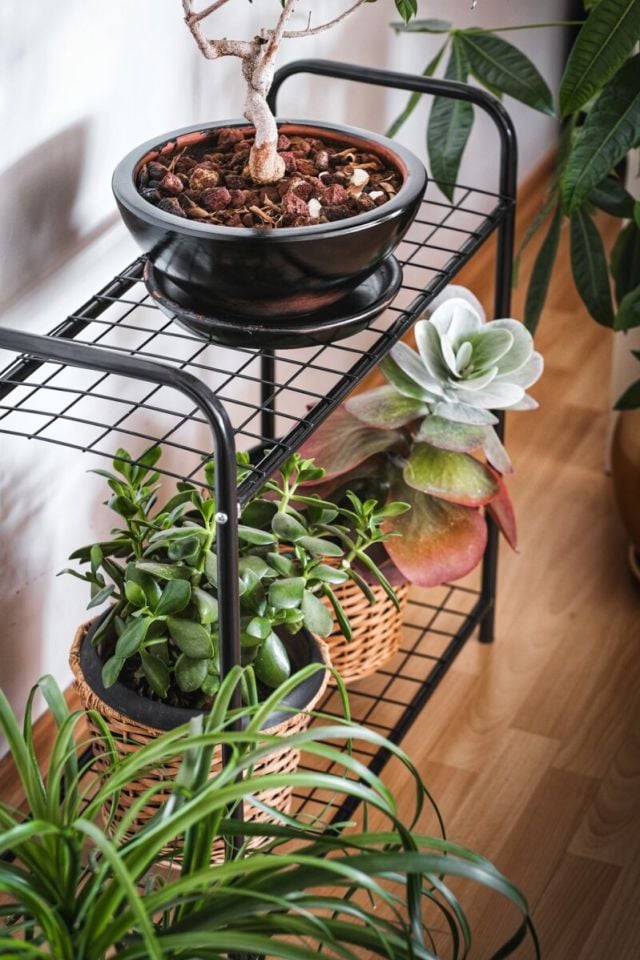 Garden 2 Raflı Saksılık