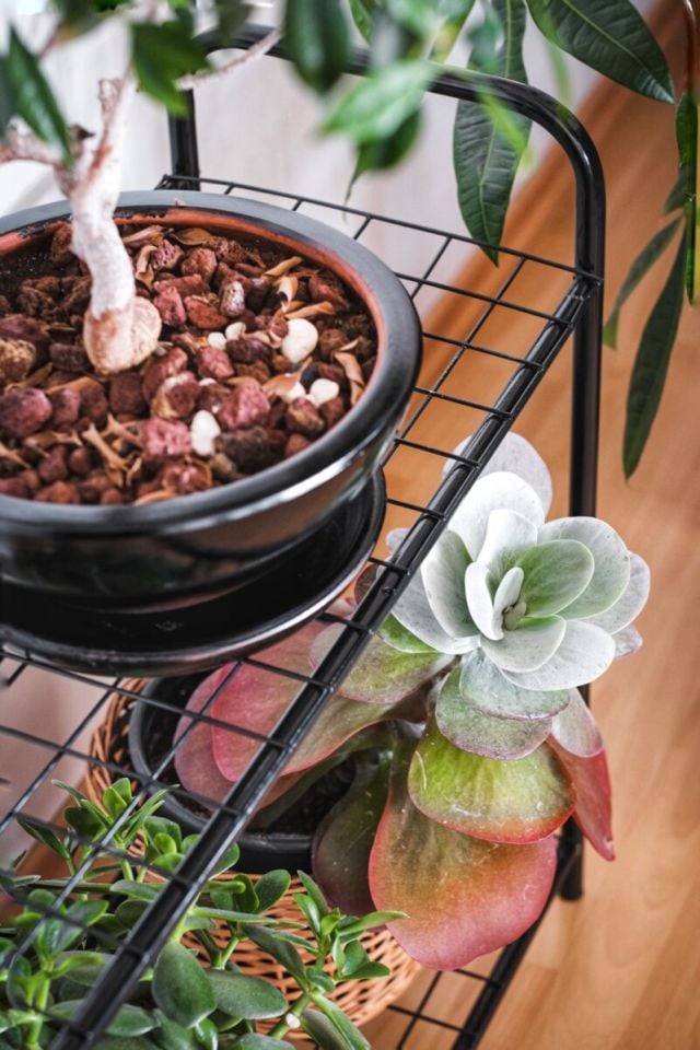 Garden 2 Raflı Saksılık