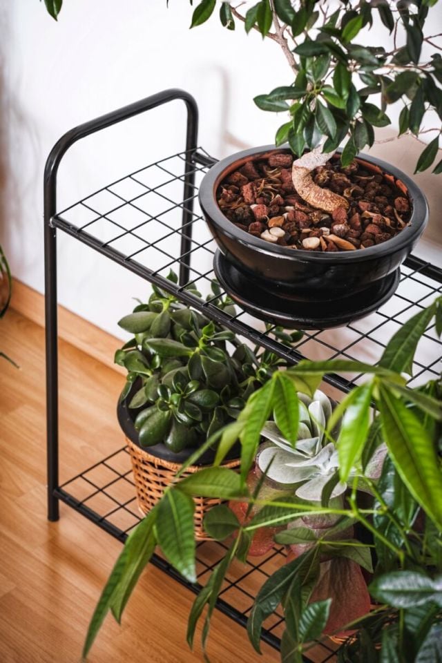 Garden 2 Raflı Saksılık