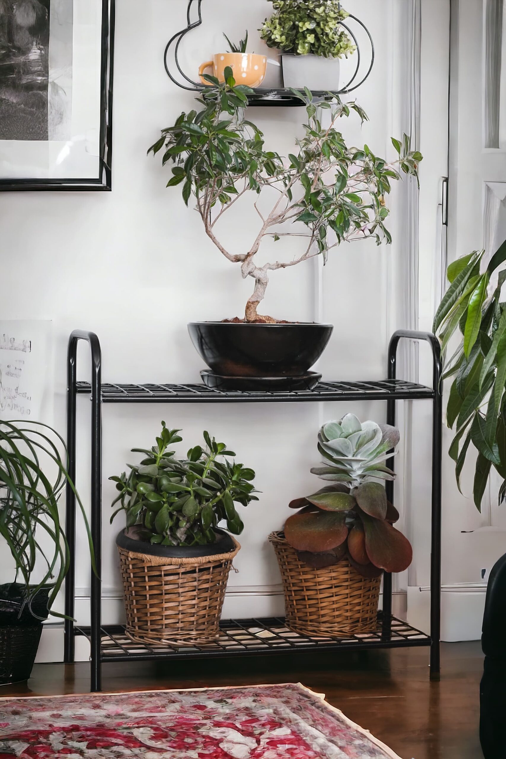 Garden 2 Raflı Saksılık