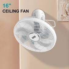 Winning Star Fan