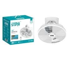 Winning Star Fan