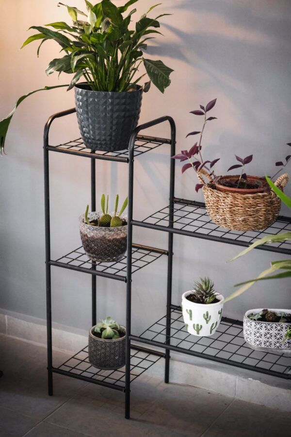 Garden 5 Raflı Saksılık