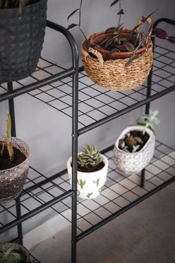 Garden 5 Raflı Saksılık