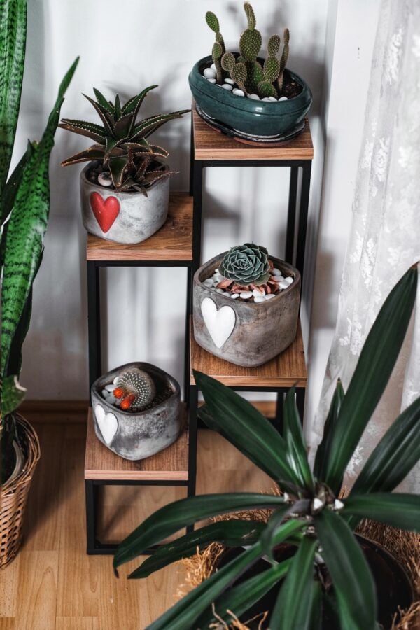 Garden 4 Ahşap Raflı Saksılık