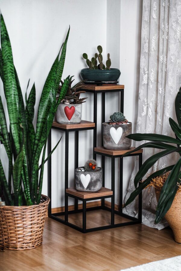 Garden 4 Ahşap Raflı Saksılık