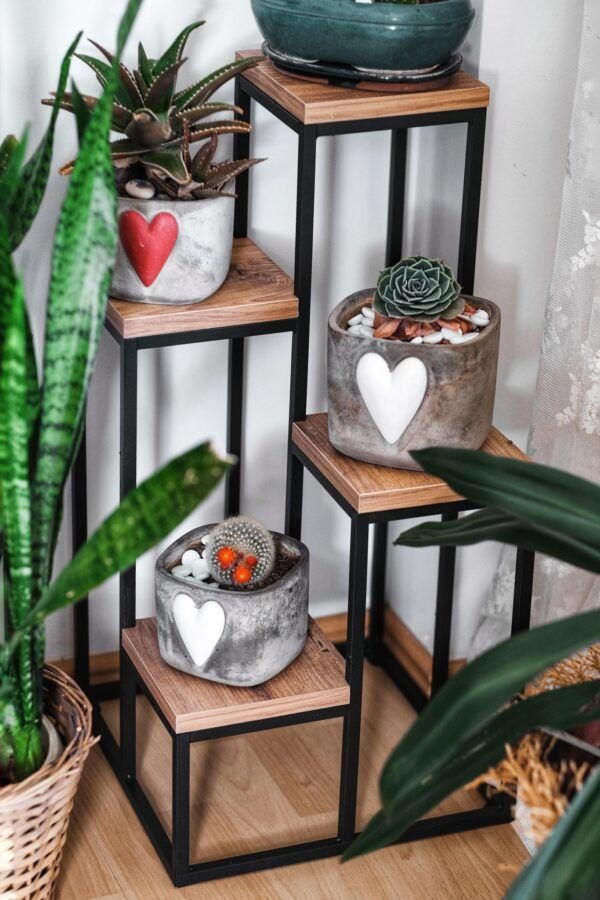 Garden 4 Ahşap Raflı Saksılık