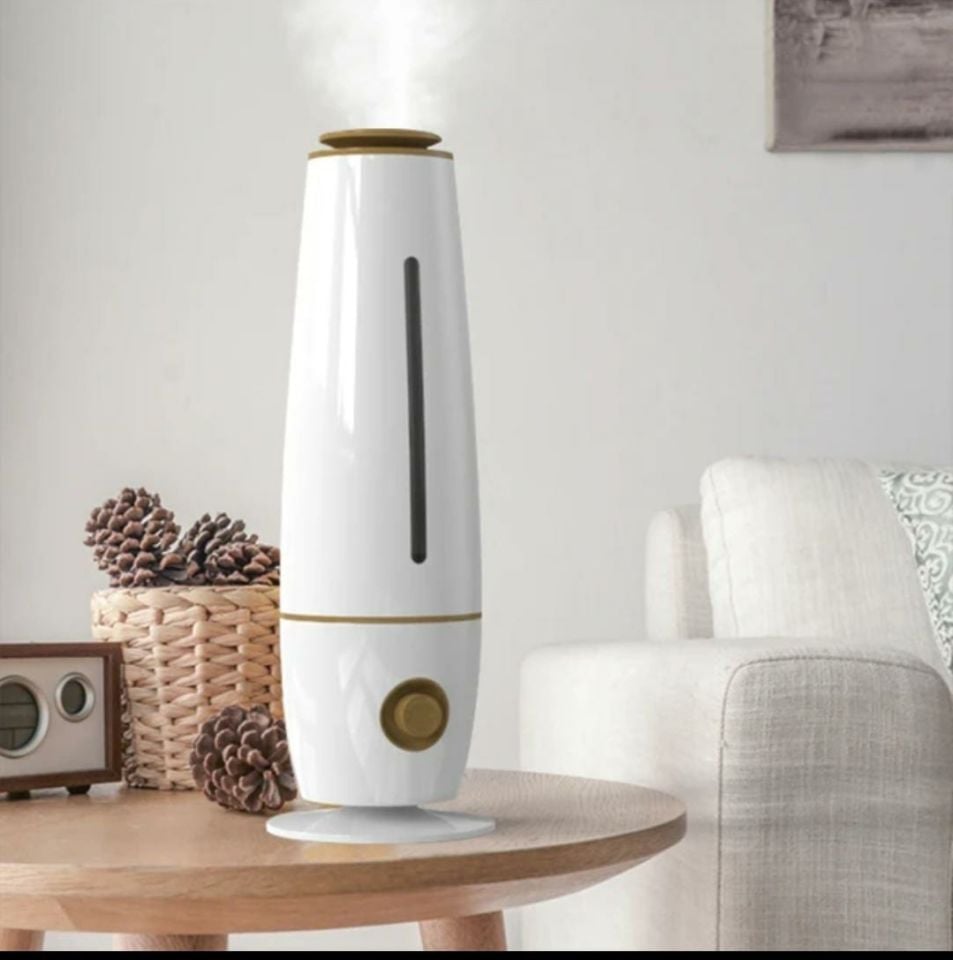 5L Ultrasonik Elektrikli Buhar Makinesi